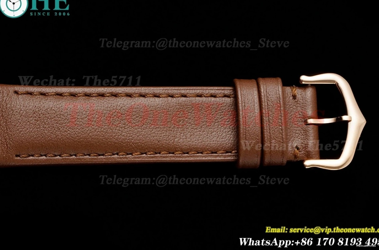 Dumont Dial Silver Brown Santos Quartz LE RG AF Dia 0313